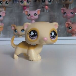 Littlest Pet Shop #653 RARE